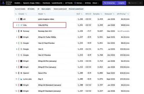 国产v网站  第2张