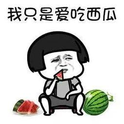 娱乐吃瓜音乐叫什么  第2张