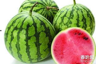 疫情期间娱乐圈吃瓜,吃瓜群众见证的幕后风云  第3张