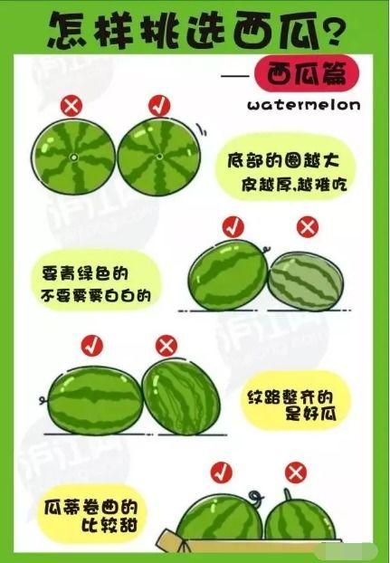 娱乐吃瓜渠道哪里找,轻松获取热门八卦资讯的秘籍  第2张