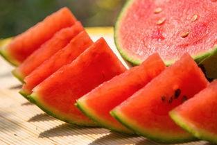 娱乐吃瓜公司有哪些名字,那些独具特色的“吃瓜”公司名大盘点  第2张