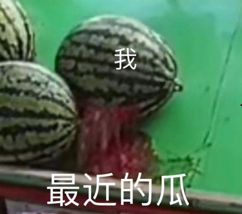 吃瓜娱乐圈瓜,揭秘明星们的甜蜜与苦涩瓜  第3张