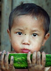 娱乐吃瓜小男孩是谁啊,他是谁？为何成为网络热议焦点？  第2张