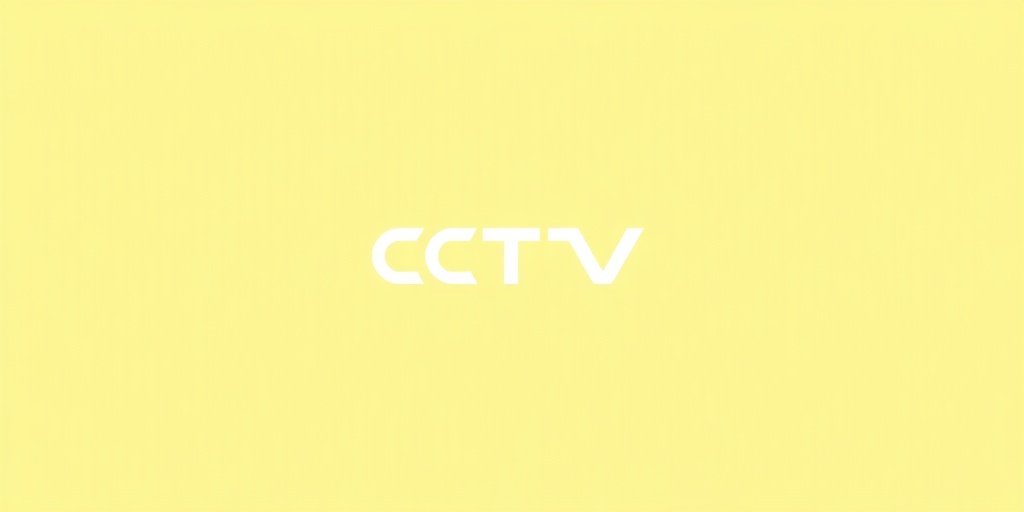中央电视台